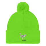 Pom-Pom Beanie