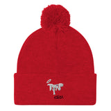 Pom-Pom Beanie